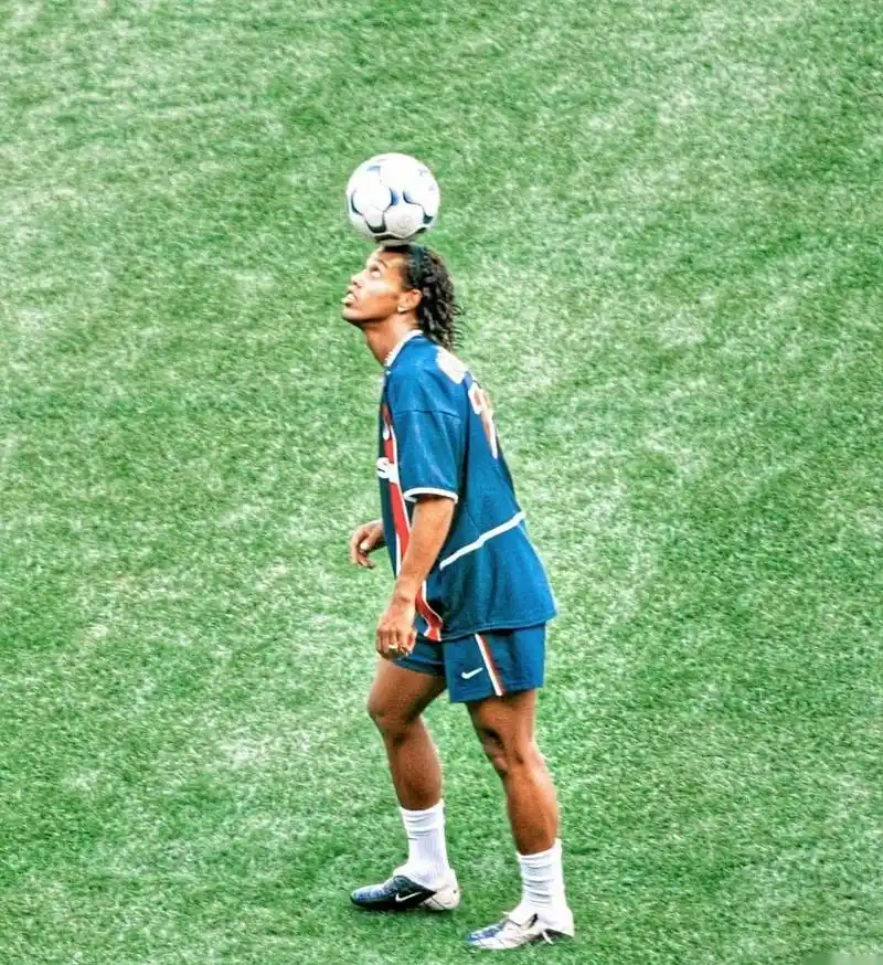 仅引起了意 仅引起了意