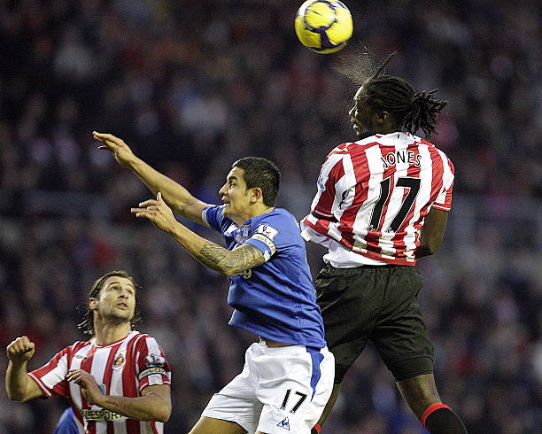 加维和费兰 加维和费兰